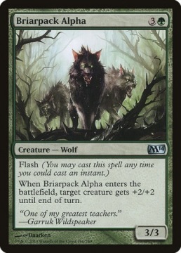 MtG: Briarpack Alpha (M14)