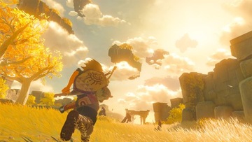 Переключатель The Legend of Zelda TOTK Collectors Edition