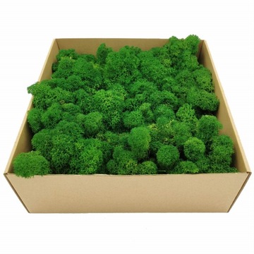 Mech Chrobotek - Alpejski - Oczyszczony - Zielony 250g NETTO