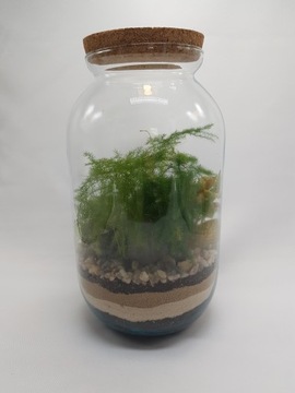 Лес в банке, лес в стекле + ФИГУРКА БУДДА, ХИТ своими руками