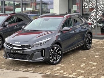 Kia XCeed 2025 KIA XCeed 1.6 T-GDI Tribute DCT Crossover 150KM 2025
