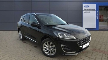 Ford Kuga III SUV Plug-In 2.5 Hybrid 190KM 2024 Ford Kuga Vignal, SUV, 2.5 FHEV 190 KM, AUTOMA...