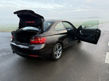 BMW Seria 2 F22-F23-F45-F46 Coupe 220i (Euro 6) 184KM 2016 BMW 220 2.0i 184KM 68tys.km. Navi Bezwypadkowy, zdjęcie 23