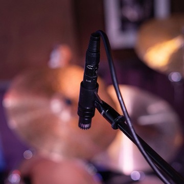 DPA 2015 – Широкий кардиоидный конденсаторный микрофон