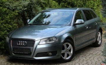 Audi A3 8P Hatchback 3d 1.8 TFSI 160KM 2009 Audi A3 Sportback Audi A3 Sportback Turbo Benzyna Sportbec 164 tys km Zadb