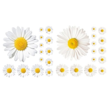 Dekoracyjna tapeta z motywem roślinnym Naklejka Little Daisy
