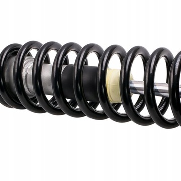 GWINT Gwintowane do Mercedes S W220 S430 S500