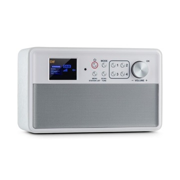 Radio sieciowe DAB+, FM Auna Nestor