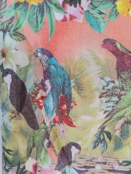 River Islands spodnie jeans dżungla papugi r. 38