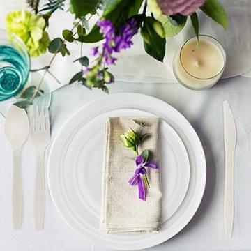 ŁYŻECZKA ŁYŻECZKI JEDNORAZOWE PLASTIKOWE DO KAWY DESERÓW BIAŁE 50