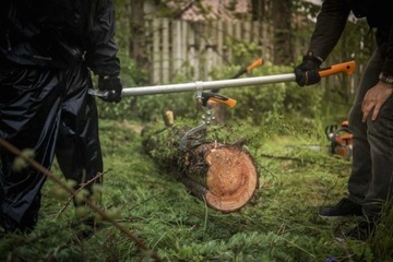 РЫЧАГОВЫЙ ПЕРЕКЛЮЧАТЕЛЬ FISKARS + КРЮК L WOODXPERT 1015439