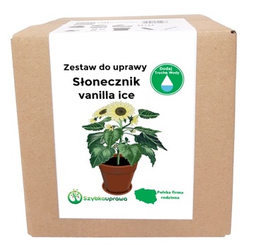 Zestaw do Uprawy SŁONECZNIK VANILLA 90 nasion X
