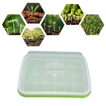 KIEŁKOWNICA KIEŁKOWNIK NACZYNIE NA KIEŁKI 2 SZT