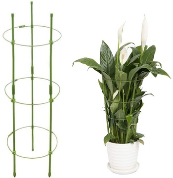 PODPORA PIERŚCIENIOWA DO ROŚLIN KWIATÓW OBEJMA OGRODOWA RING 60CM AG691G