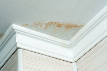 Грунтовка Dulux Stamy белая 0,75л