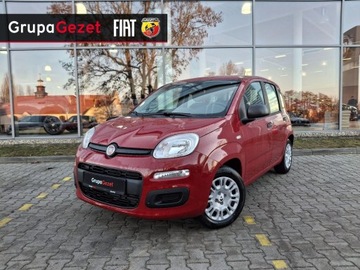Fiat Panda III 2025 Fiat Panda Pandina Icon 1.0 70 KM 5-miejscowa, zdjęcie 6
