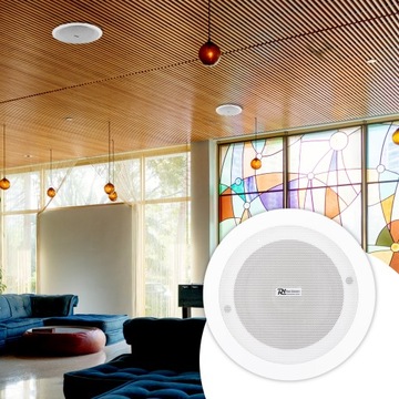 АКТИВНЫЕ ПОТОЛОЧНЫЕ ДИНАМИКИ ДЛЯ УСТАНОВКИ BLUETOOTH