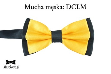 Szelki i mucha dla MATEMATYKA KOLOROWE CYFERKI 16