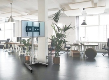 Тележка для экрана EDBAK TR5E 42-65 дюймов