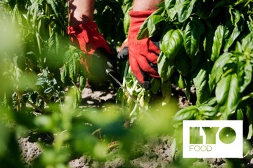 LYOfood Суп-гуляш с картофелем 80 г | 500 г