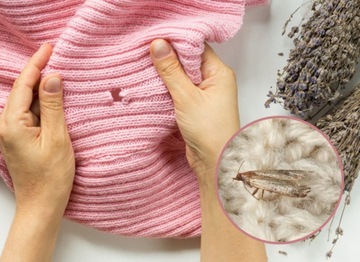 BROS - шарики-цветочки от моли 20 шт.