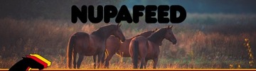 NUPAFEED MAH BOOSTER МАГНИЙ СПОКОЙНАЯ КОНЦЕНТРАЦИЯ 10