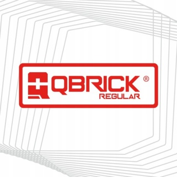 Компактный органайзер Qbrick Regular M Черный