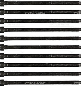 Болты головки REINZ 14-35738-01 5607961