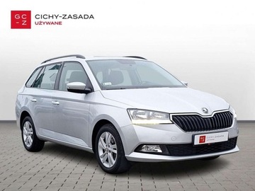 Skoda Fabia III Kombi Facelifting 1.0 TSI 95KM 2019 Skoda Fabia Ambition 1,0 TSI 95km FV VAT23 Benzyna 95KM, zdjęcie 6
