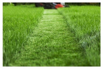 Удобрение для газона GRASS 24кг весна-лето 100 дней