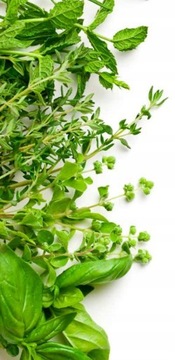 Корм для кур-несушек Nature and Tradition De Heus