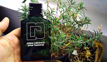 PACO RABANNE POUR HOMME ФЛАКОН 100 МЛ