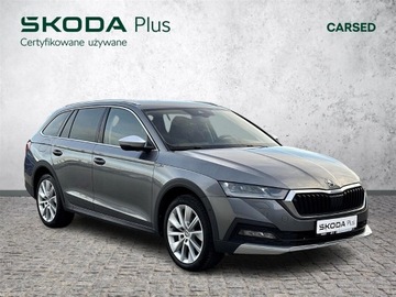 Skoda Octavia IV Kombi 2.0 TDI SCR 200KM 2022 Skoda Octavia 2.0TDI 150KM 4X4 Scout DSG l Head-Up, zdjęcie 39