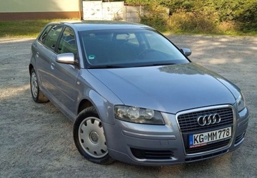 Audi A3 8P Hatchback 3d 1.6 FSI 115KM 2005 Audi A3 1,6 Benzyna 5 Drzwi Klima El szyby ..., zdjęcie 22