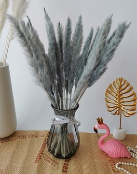 СЕРАЯ ТРАВА ПАМПАССА ТОНКИЙ БУКЕТ 15ШТ НАТУРАЛЬНАЯ ПАМПАССА СУШЕННАЯ ДЛЯ ВАЗЫ