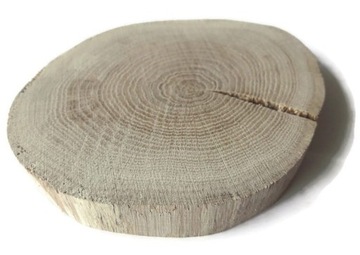 Plaster drewna plastry dąb 10-12 cm BEZ KORY pod kubek krążek dębowy