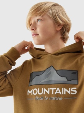 СВИТШОТ С КАПЮШОНОМ 4F ДЛЯ МАЛЬЧИКОВ AW23M634