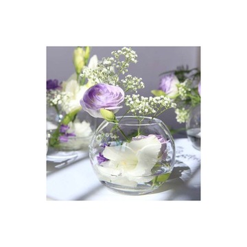 Стеклянная шаровая ваза 21 x 19см гидропоника