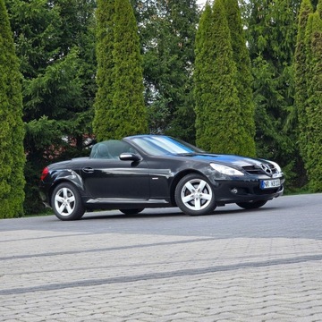 Mercedes SLK R171 Roadster 3.0 V6 (280) 231KM 2008 Mercedes SLK 280 R171 3.0 Benzyna 7G-TRONIC Sport, zdjęcie 39