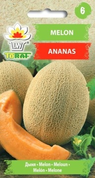 Melon Ananas - Nasiona 1g
