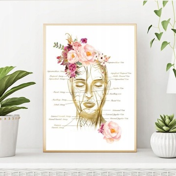 Modern HD Print Woman Face Muscle Map Medica