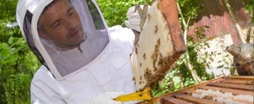 KOMBINEZON PSZCZELARSKI WENTYLOWANY KOMPLET BAWEŁNIANA XL + RĘKAWICE XXL