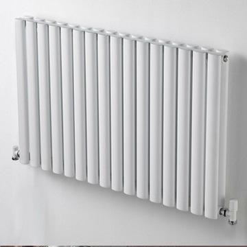 Радиатор БЕЛЫЙ 100 х 53, вертикальный RENE двойной