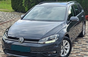 Volkswagen Golf VIII Hatchback 2.0 TDI SCR 115KM 2019 Volkswagen Golf Niski przebieg 88 tys,1.6 Diesel, Faktura,Polecam 2.0