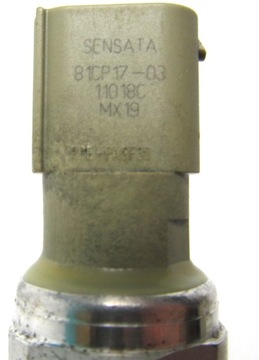 ВПРЫСК СУГ газовая форсунка ZAVOLI PAN JET bora 600PAN.JET ГАРАНТИЯ 60 ДНЕЙ