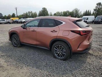 Lexus NX II 2025 Lexus NX 350H Base 2025 2.5l 2.5 Hybryda 240KM, zdjęcie 1