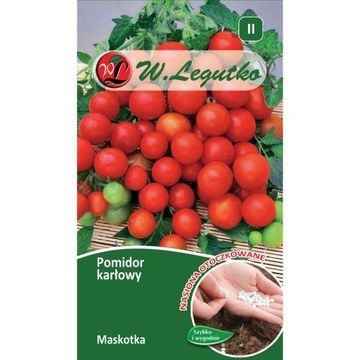 POMIDOR KOKTAJLOWY MASKOTKA NASIONA OTOCZKOWANE 'L