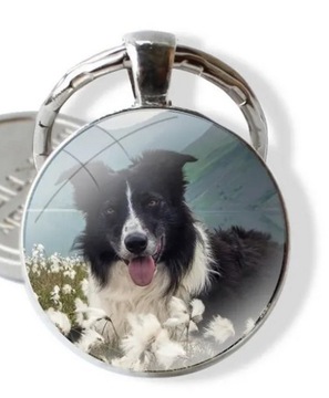 Border collie, pies - brelok, zawieszka, breloczek