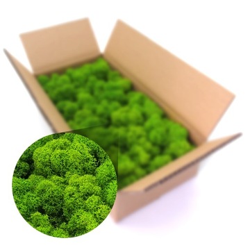 Финский мох 500г.