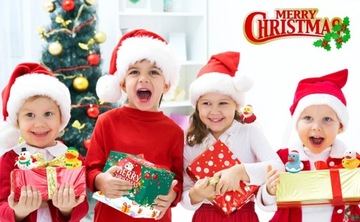 Christmas Rubber Ducks,Cruise Ducks,Rubber Ducks for Christmas Party